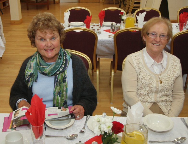 Monaghan U3A lunch with the Percy French quartet (18).jpg